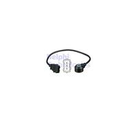 Delphi Sensor de golpes AS10199