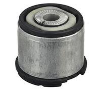 DELPHI Silentblock del puente trasero para AUDI: S4, RS4, A4 & BMW: M3 & SEAT: Exeo (Ref: TD1378W)