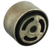 DELPHI Silentblock del puente trasero para MERCEDES-BENZ Ref: TD1010W)