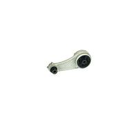 Delphi Soporte de motor TEM013 compatible con Renault Kangoo Express FC0/1 KC0/1 F40 G40
