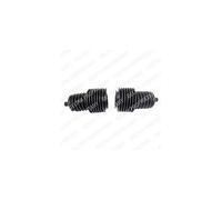DELPHI Juego de fuelles, dirección para RENAULT: R19, R21, Clio, Twingo, R25, R30, R20, Super 5, Lutécia, Fuego, Espace (Ref: TBR3103)
