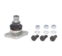 DELPHI TC1999 Rótula de suspensión Compatible con RENAULT KANGOO Express FW0/1 Kangoo 2 / Grand Kangoo KW, KW0/1 KANGOO BE BOP KW0/1, MERCEDES-BENZ Citan Furgoneta W415 Citan Tourer/Familiar 415
