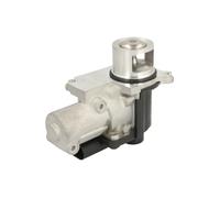 Delphi Technologies EG10471-12B1 Válvula EGR