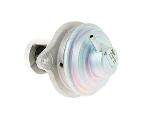 Delphi Technologies EG10656-12B1 Válvula EGR