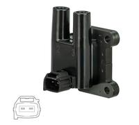 Delphi Technologies GN11009-12B1 - Bobina de encendido