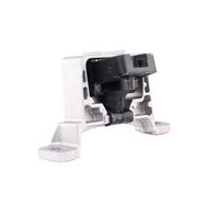 DELPHI TEM096 Soporte de motor