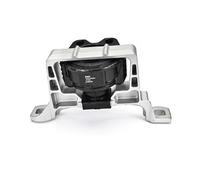 DELPHI TEM265 Soporte de motor