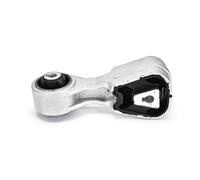 DELPHI TEM290 Soporte de motor