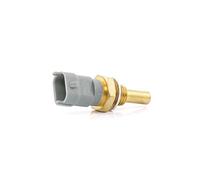 Delphi Sensor de temperatura del refrigerante TS10253 - Compatible FIAT y CITROËN