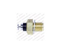 Delphi ts10256 Interruptor