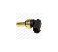 Delphi ts10269 Interruptor