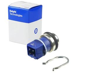 Delphi ts10275 Switch