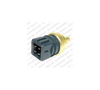 Delphi ts10279 Interruptor