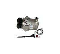 Delphi TSP0155459 - Compresor, aire acondicionado