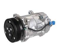 Compresor del aire acondicionado PAG 46 TSP0159058 DELPHI para VW SEAT FORD