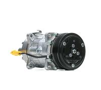 Compresor del aire acondicionado PAG 46 TSP0159337 DELPHI para PEUGEOT CITROËN