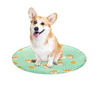 Delr Refrigeración para AnimCompagnie - Manta refrescante para perros picaduras, Corgi Avocado Pattern Cat Bed Cojín verano resistente mordeduras