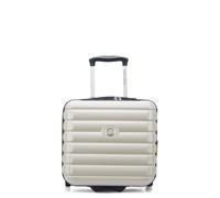 Delsey Paris Trolley de negocios Shadow 5.0 de 4 ruedas Compartimento para portátil de 38 cm con pliegue de expansión blanco