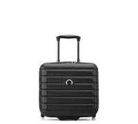 DELSEY PARIS Trolley BOARDCASE/Tote