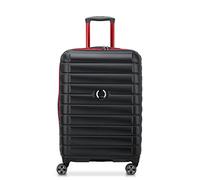 DELSEY PARIS Trolley Case/Upright