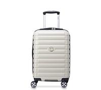 DELSEY PARIS Trolley Case/Upright