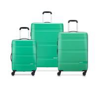 DELSEY PARIS Trolley Case/Upright