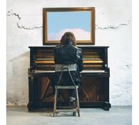 Delta Spirit Into the Wide (Vinyl) 12" Album (Importación USA)
