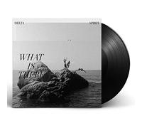 Delta Spirit - What Is There [Vinilo]