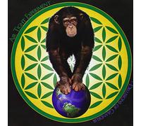 Delusions of Grandeur