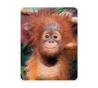 Deluxebase 3D LiveLife Imán - Bebé orangután Imán de Nevera lenticular 3D con diseño de Mono. Adorno magnético para niños y Adultos Estampado con ilustración del reconocido Artista David Penfound