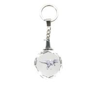 Deluxebase Llaveros de silueta de cristal de animales para mujeres, hombres, niños y niñas., T-rex, S