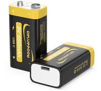 Delyeepow Baterías de Litio Recargables de 9V (2PCS), 650mAh con Cable de Carga USB-C, Baterías de Alta Capacidad para Detectores de Humo, Guitarras Eléctricas, Micrófonos, Walkie-talkies y más