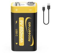 Delyeepow Baterías de Litio Recargables de 9V, 650mAh con Cable de Carga USB-C, Baterías de Alta Capacidad 6F22 para Detectores de Humo, Guitarras Eléctricas, Micrófonos, Walkie-talkies y más