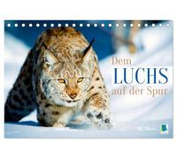 Dem Luchs auf der Spur (Tischkalender 2026 DIN A5 quer), CALVENDO Monatskalender: Luchse: Auf der Pirsch mit leisen Pfoten