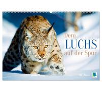 Dem Luchs auf der Spur (Wandkalender 2026 DIN A2 quer), CALVENDO Monatskalender: Luchse: Auf der Pirsch mit leisen Pfoten