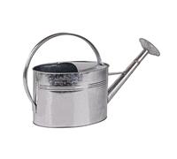 DEMA Regadera de metal Victoria 5 L, metal galvanizado con ducha, regadera