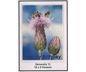 Dementia 13: 16x9 Widescreen TV.: Happy Birthday