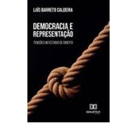 Democracia E Representação (ebook)