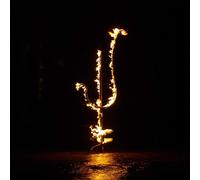 Demon Head Hellfire Ocean Void (CD) Album (Importación USA)