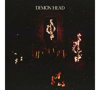 Demon Head Through Holes Shines the Stars (Vinyl) 12" Album