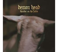Demon head - Thunder on the fields [Vinilo]
