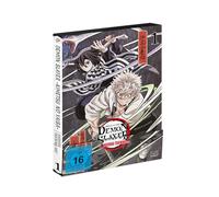 Demon Slayer: Kimetsu no Yaiba Hashira Training Arc - Vol.1 - [DVD] [Alemania]