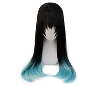 Demon Slayer Kimetsu no Yaiba Tokitou Muichirou Ponytails Peluca Cosplay Disfraz Resistente al calor Pelo largo sintético + Gorro de peluca gratis Talla única sin cola de caballo