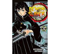 Demon slayer. Kimetsu no yaiba (Vol. 12) (Big)