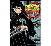 Demon Slayer: Kimetsu no Yaiba, Vol. 12: The Upper Ranks Gather: Volume 12