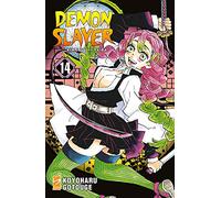 Demon slayer. Kimetsu no yaiba (Vol. 14) (Big)