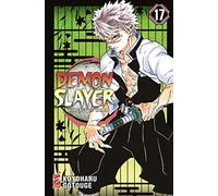 Demon slayer. Kimetsu no yaiba (Vol. 17) (Big)