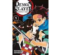 Demon Slayer T01 (ebook)