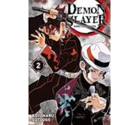 Demon Slayer T02 (ebook)