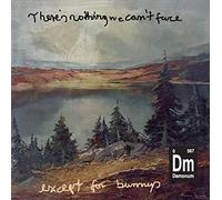 Demonum - There's Nothing We Can't Face-Except for Bunnies [10" Viny] [Vinilo]